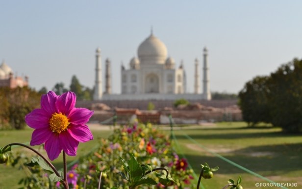Agra - Índia (16)