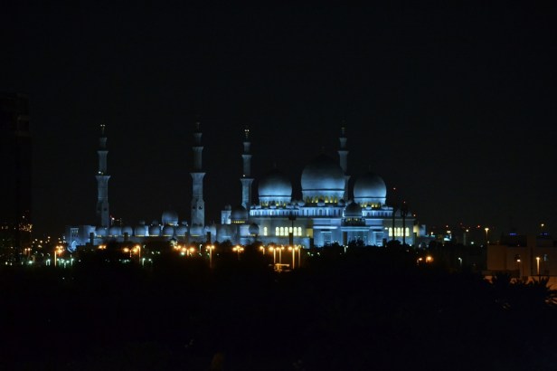 Abu Dhabi (14)